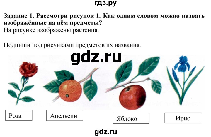 ГДЗ по биологии 7 класс Клепинина рабочая тетрадь Для обучающихся с интеллектуальными нарушениями задание - 1, Решебник