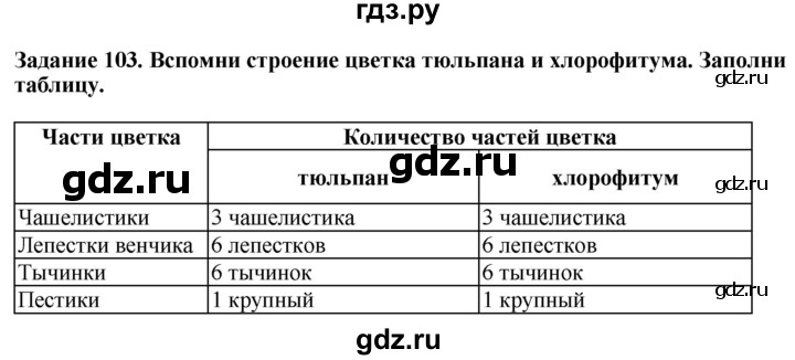 ГДЗ по биологии 7 класс Клепинина рабочая тетрадь Растения. Бактерии. Грибы. Для обучающихся с интеллектуальными нарушениями задание - 103, Решебник