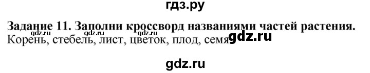 ГДЗ по биологии 7 класс Клепинина рабочая тетрадь Для обучающихся с интеллектуальными нарушениями задание - 11, Решебник