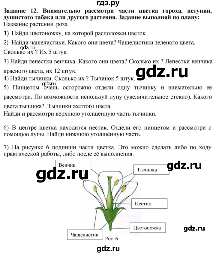 ГДЗ по биологии 7 класс Клепинина рабочая тетрадь Для обучающихся с интеллектуальными нарушениями задание - 12, Решебник