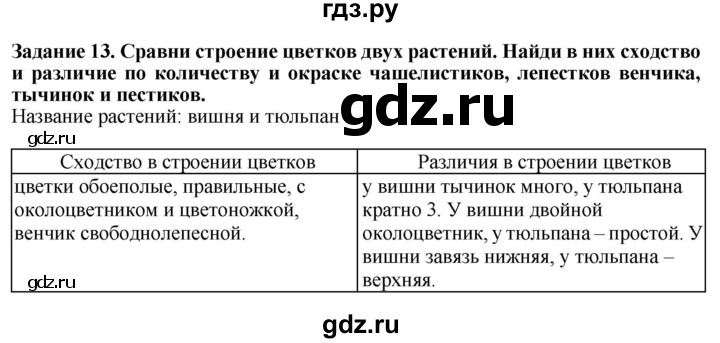 ГДЗ по биологии 7 класс Клепинина рабочая тетрадь Растения. Бактерии. Грибы. Для обучающихся с интеллектуальными нарушениями задание - 13, Решебник