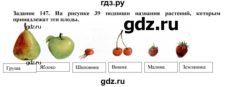 ГДЗ по биологии 7 класс Клепинина рабочая тетрадь Для обучающихся с интеллектуальными нарушениями задание - 147, Решебник