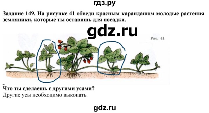 ГДЗ по биологии 7 класс Клепинина рабочая тетрадь Растения. Бактерии. Грибы. Для обучающихся с интеллектуальными нарушениями задание - 149, Решебник