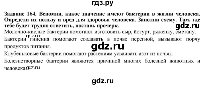 ГДЗ по биологии 7 класс Клепинина рабочая тетрадь Растения. Бактерии. Грибы. Для обучающихся с интеллектуальными нарушениями задание - 164, Решебник