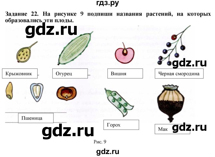 ГДЗ по биологии 7 класс Клепинина рабочая тетрадь Для обучающихся с интеллектуальными нарушениями задание - 22, Решебник