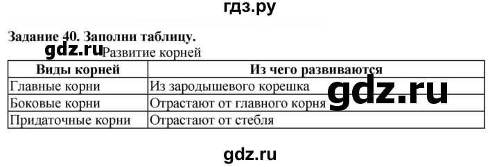 ГДЗ по биологии 7 класс Клепинина рабочая тетрадь Растения. Бактерии. Грибы. Для обучающихся с интеллектуальными нарушениями задание - 40, Решебник