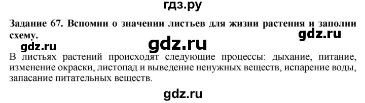 ГДЗ по биологии 7 класс Клепинина рабочая тетрадь Растения. Бактерии. Грибы. Для обучающихся с интеллектуальными нарушениями задание - 67, Решебник