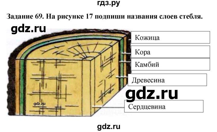 ГДЗ по биологии 7 класс Клепинина рабочая тетрадь Растения. Бактерии. Грибы. Для обучающихся с интеллектуальными нарушениями задание - 69, Решебник