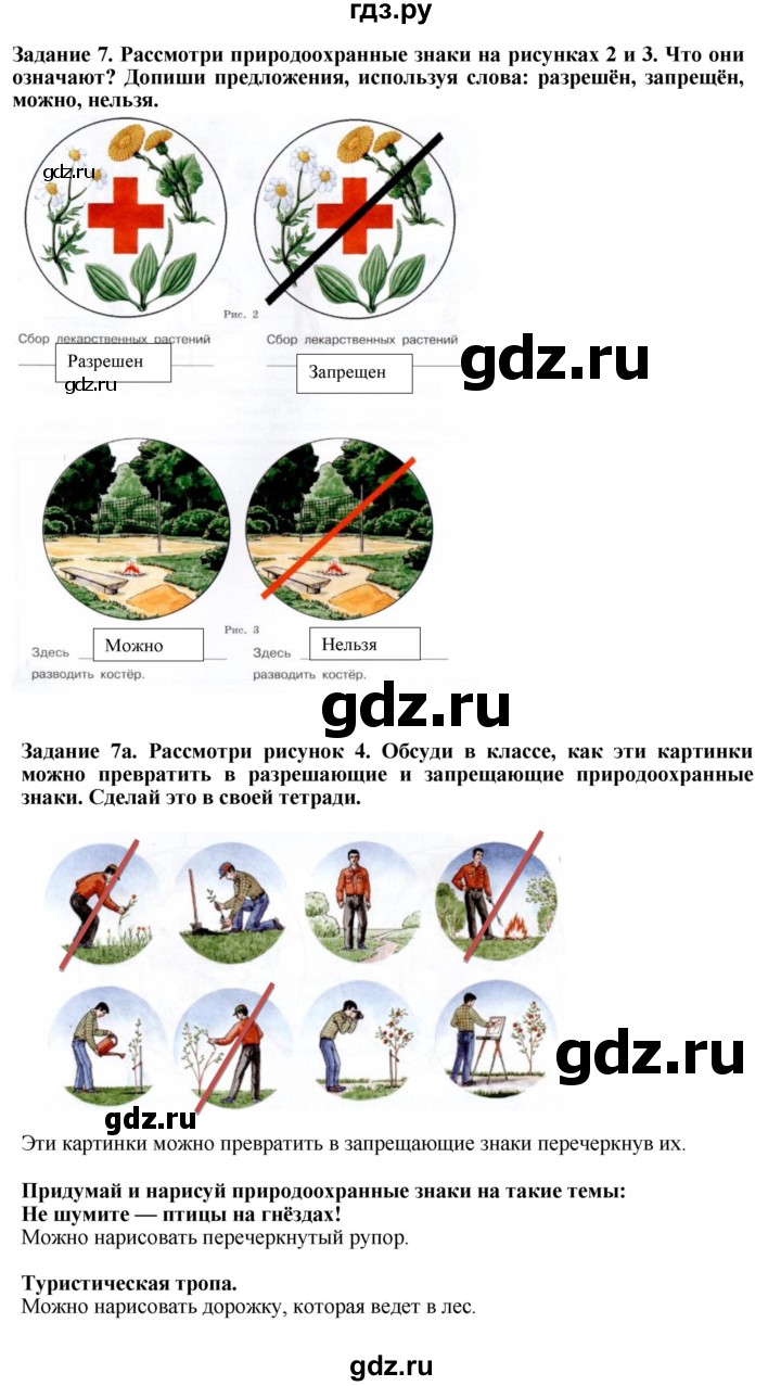 ГДЗ задание 7 биология 7 класс рабочая тетрадь Клепинина