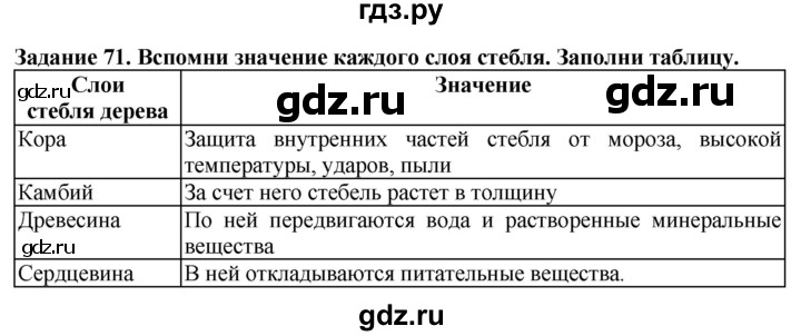 ГДЗ по биологии 7 класс Клепинина рабочая тетрадь Растения. Бактерии. Грибы. Для обучающихся с интеллектуальными нарушениями задание - 71, Решебник