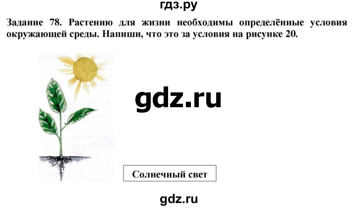 ГДЗ по биологии 7 класс Клепинина рабочая тетрадь Растения. Бактерии. Грибы. Для обучающихся с интеллектуальными нарушениями задание - 78, Решебник