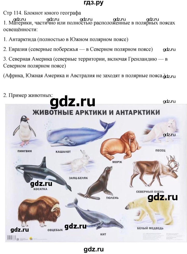 ГДЗ по географии 6 класс Лифанова  Для обучающихся с интеллектуальными нарушениями страница - 114, Решебник 2025