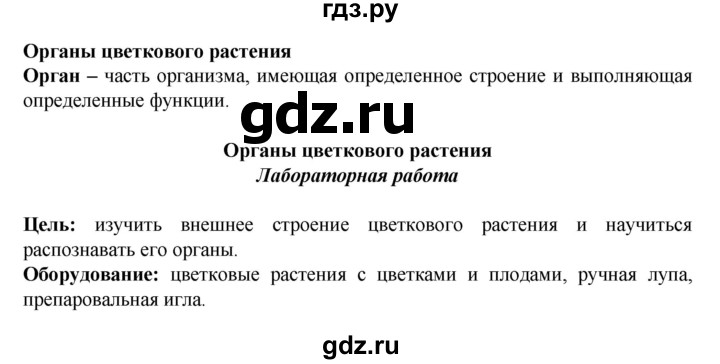 ГДЗ по биологии 6 класс Бодрова рабочая тетрадь  страница - 14, Решебник