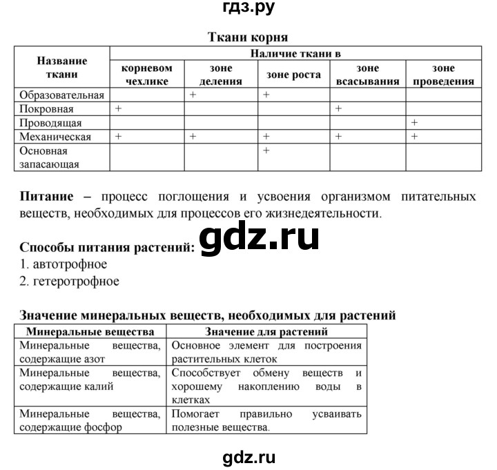 ГДЗ по биологии 6 класс Бодрова рабочая тетрадь  страница - 20, Решебник