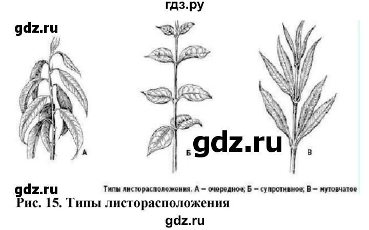 ГДЗ по биологии 6 класс Бодрова рабочая тетрадь  страница - 21, Решебник