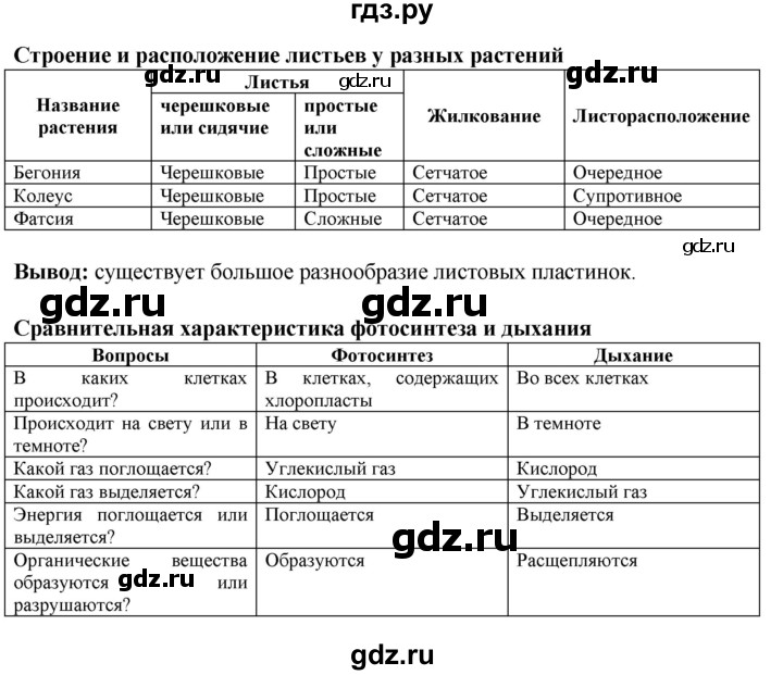 ГДЗ по биологии 6 класс Бодрова рабочая тетрадь  страница - 25, Решебник