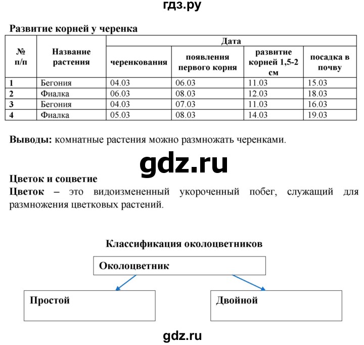 ГДЗ по биологии 6 класс Бодрова рабочая тетрадь  страница - 30, Решебник