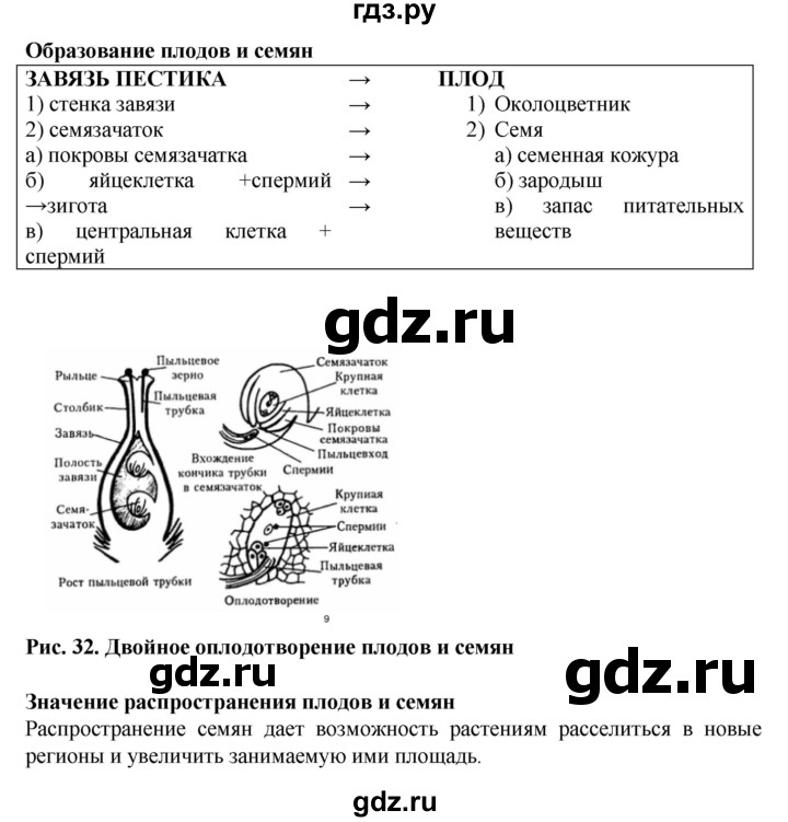 ГДЗ по биологии 6 класс Бодрова рабочая тетрадь  страница - 36, Решебник