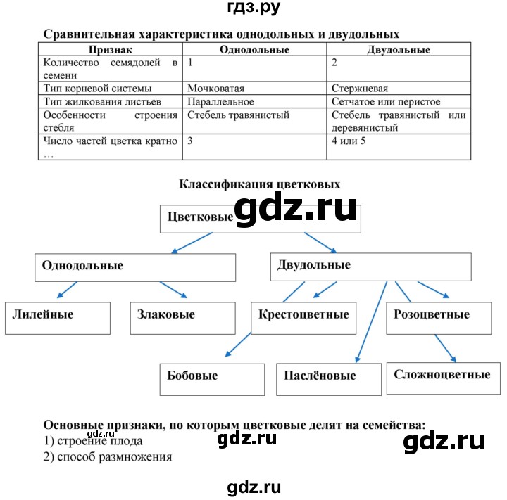 ГДЗ по биологии 6 класс Бодрова рабочая тетрадь  страница - 41, Решебник