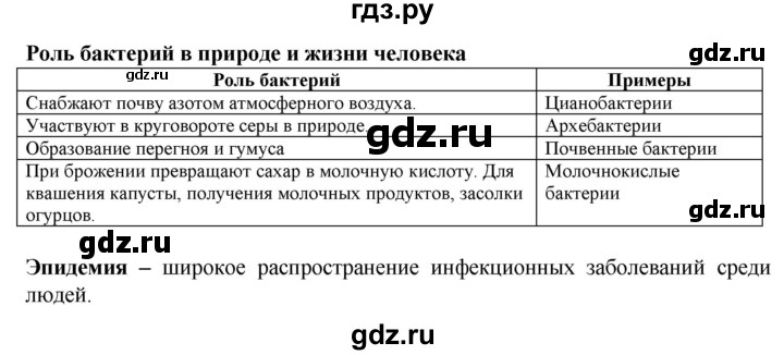 ГДЗ по биологии 6 класс Бодрова рабочая тетрадь  страница - 59, Решебник