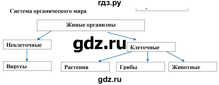 ГДЗ по биологии 6 класс Бодрова рабочая тетрадь  страница - 74, Решебник