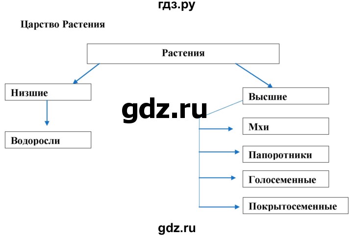 ГДЗ по биологии 6 класс Бодрова рабочая тетрадь  страница - 74, Решебник