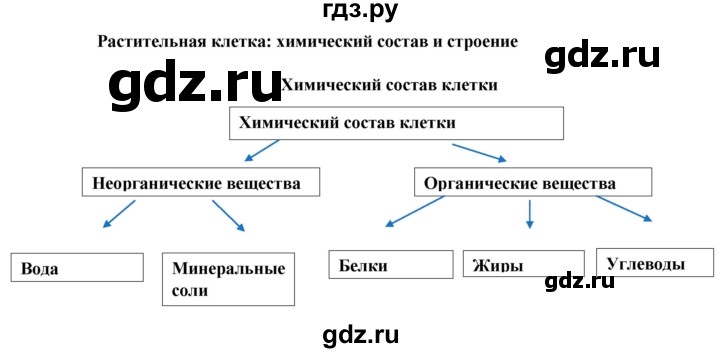 ГДЗ по биологии 6 класс Бодрова рабочая тетрадь  страница - 8, Решебник