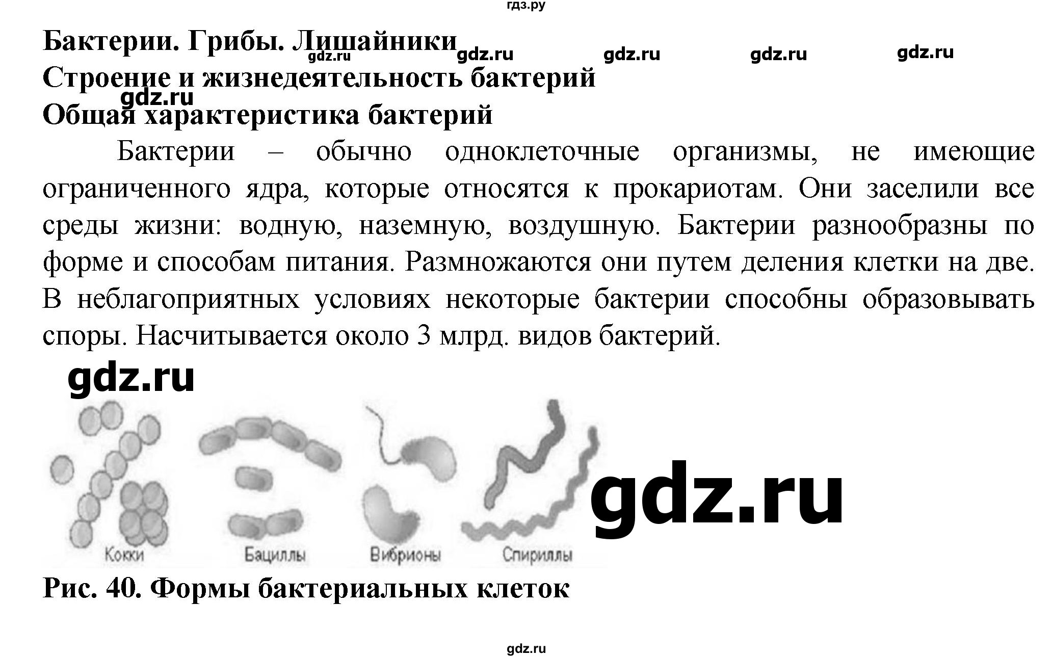 ГДЗ страница 58 биология 6 класс рабочая тетрадь Бодрова