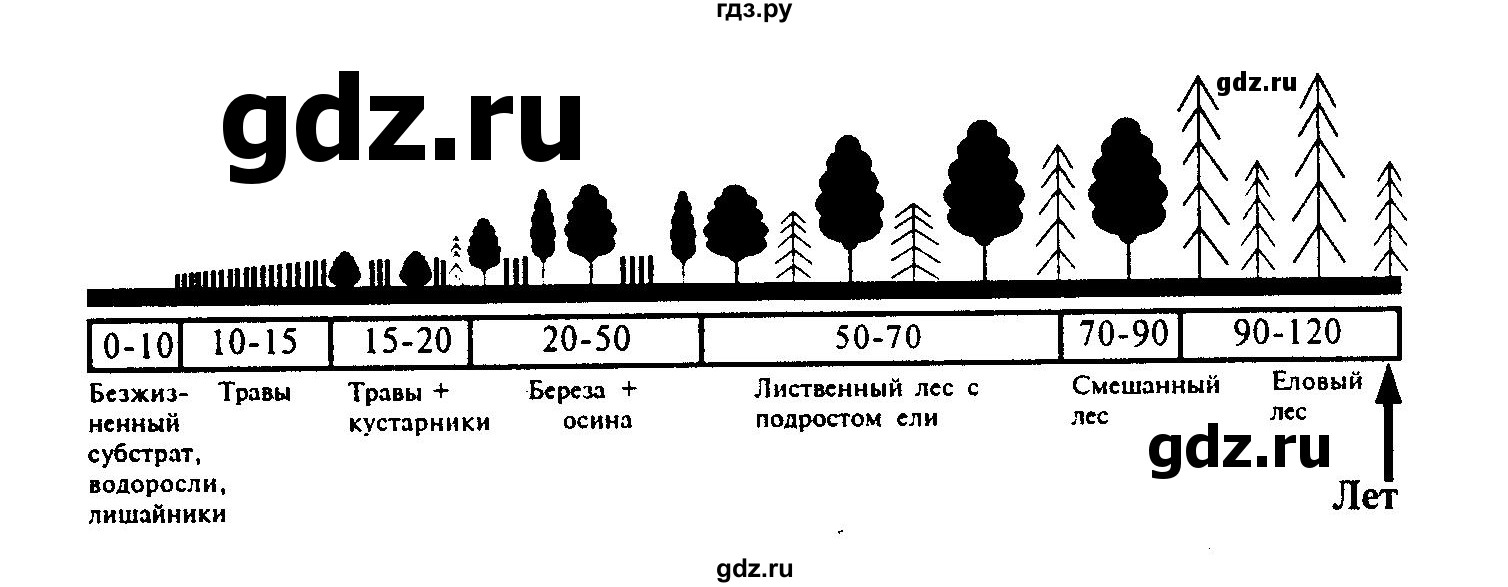 ГДЗ по биологии 6 класс Бодрова рабочая тетрадь  страница - 71, Решебник