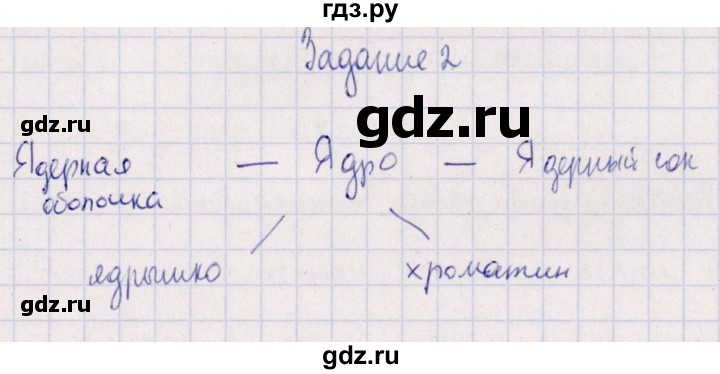 ГДЗ по биологии 10‐11 класс  Сивоглазова рабочая тетрадь Базовый уровень глава 2 / стр. 55 - 2, Решебник