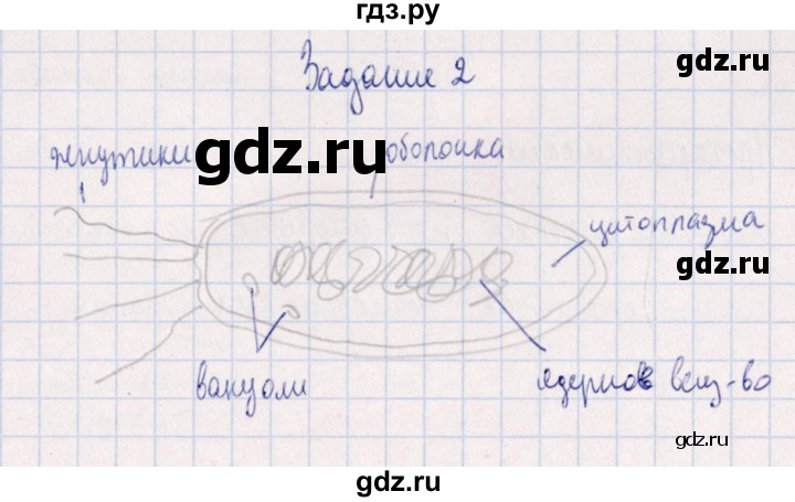 ГДЗ по биологии 10‐11 класс  Сивоглазова рабочая тетрадь Базовый уровень глава 2 / стр. 60 - 2, Решебник