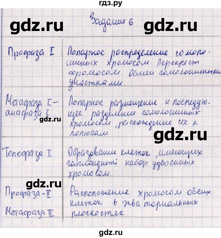 ГДЗ по биологии 10‐11 класс  Сивоглазова рабочая тетрадь Базовый уровень глава 3 / стр. 103 - 6, Решебник