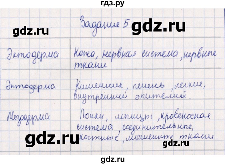 ГДЗ по биологии 10‐11 класс  Сивоглазова рабочая тетрадь Базовый уровень глава 3 / стр. 113 - 5, Решебник