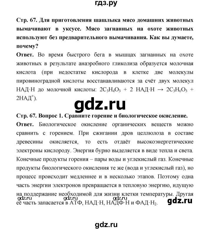 ГДЗ по биологии 10 класс  Беляев  Базовый уровень параграф 13 (страница) - 67, Решебник