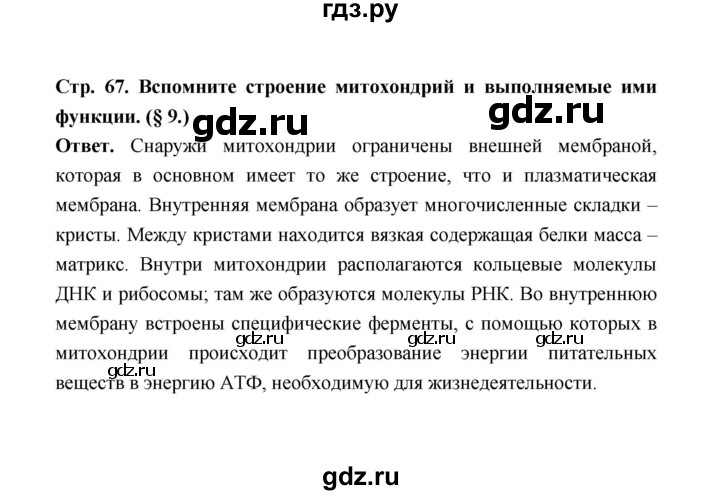 ГДЗ по биологии 10 класс  Беляев  Базовый уровень параграф 13 (страница) - 67, Решебник