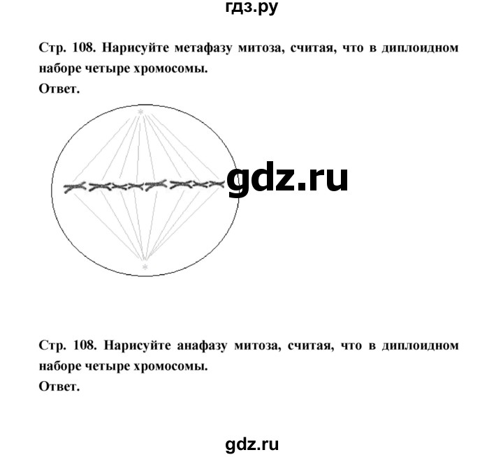 ГДЗ по биологии 10 класс  Беляев  Базовый уровень параграф 23 (страница) - 108, Решебник