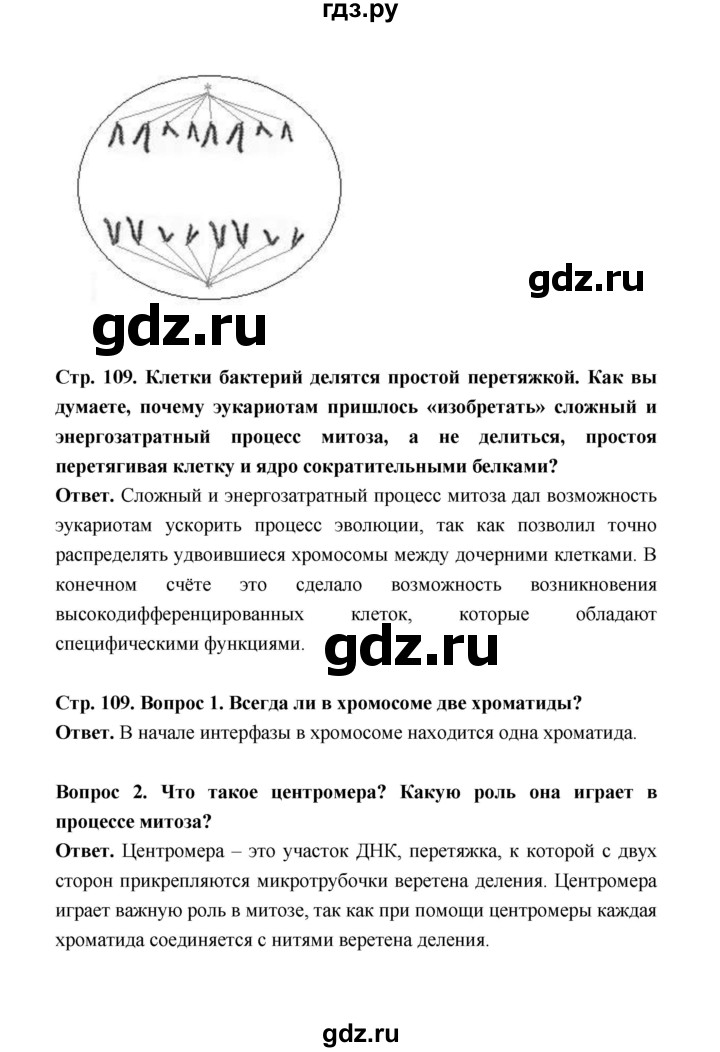 ГДЗ по биологии 10 класс  Беляев  Базовый уровень параграф 23 (страница) - 109, Решебник