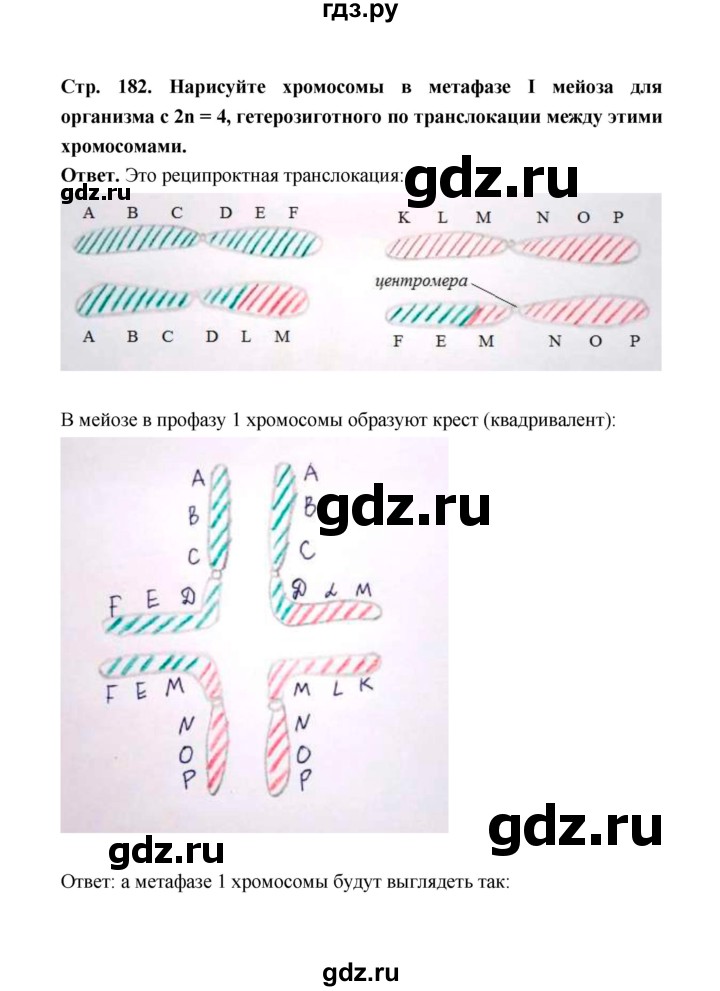 ГДЗ по биологии 10 класс  Беляев  Базовый уровень параграф 41 (страница) - 182, Решебник