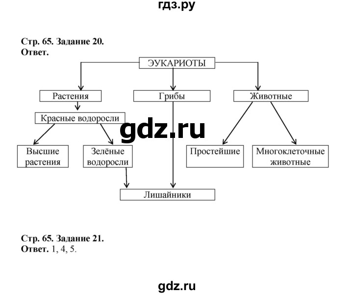 ГДЗ по биологии 10‐11 класс  Саблина рабочая тетрадь  страница - 65, Решебник