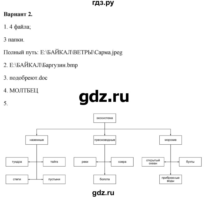 ГДЗ по информатике 7 класс  Босова самостоятельные и контрольные работы Базовый уровень СР-6 - Вариант 2, Решебник 2023