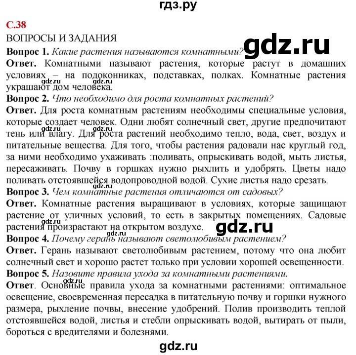 ГДЗ по природоведению 6 класс Лифанова  Для обучающихся с интеллектуальными нарушениями страница - 38, Решебник