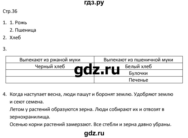 ГДЗ по миру природы и человека 4 класс Матвеева рабочая тетрадь Для обучающихся с интеллектуальными нарушениями страница - 36, Решебник