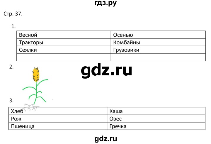 ГДЗ по миру природы и человека 4 класс Матвеева рабочая тетрадь Для обучающихся с интеллектуальными нарушениями страница - 37, Решебник