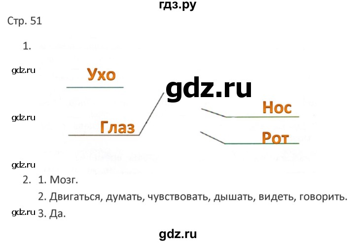 ГДЗ по миру природы и человека 4 класс Матвеева рабочая тетрадь Для обучающихся с интеллектуальными нарушениями страница - 51, Решебник