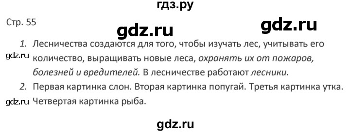 ГДЗ по миру природы и человека 4 класс Матвеева рабочая тетрадь Для обучающихся с интеллектуальными нарушениями страница - 55, Решебник