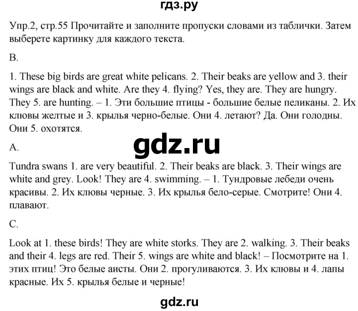 ГДЗ по английскому языку 3 класс Костюк Team Up!  часть 1. страница - 55, Решебник к учебнику 2021