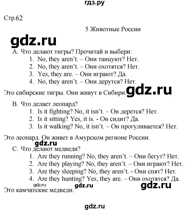 ГДЗ по английскому языку 3 класс Костюк Team Up!  часть 2. страница - 62, Решебник к учебнику 2023