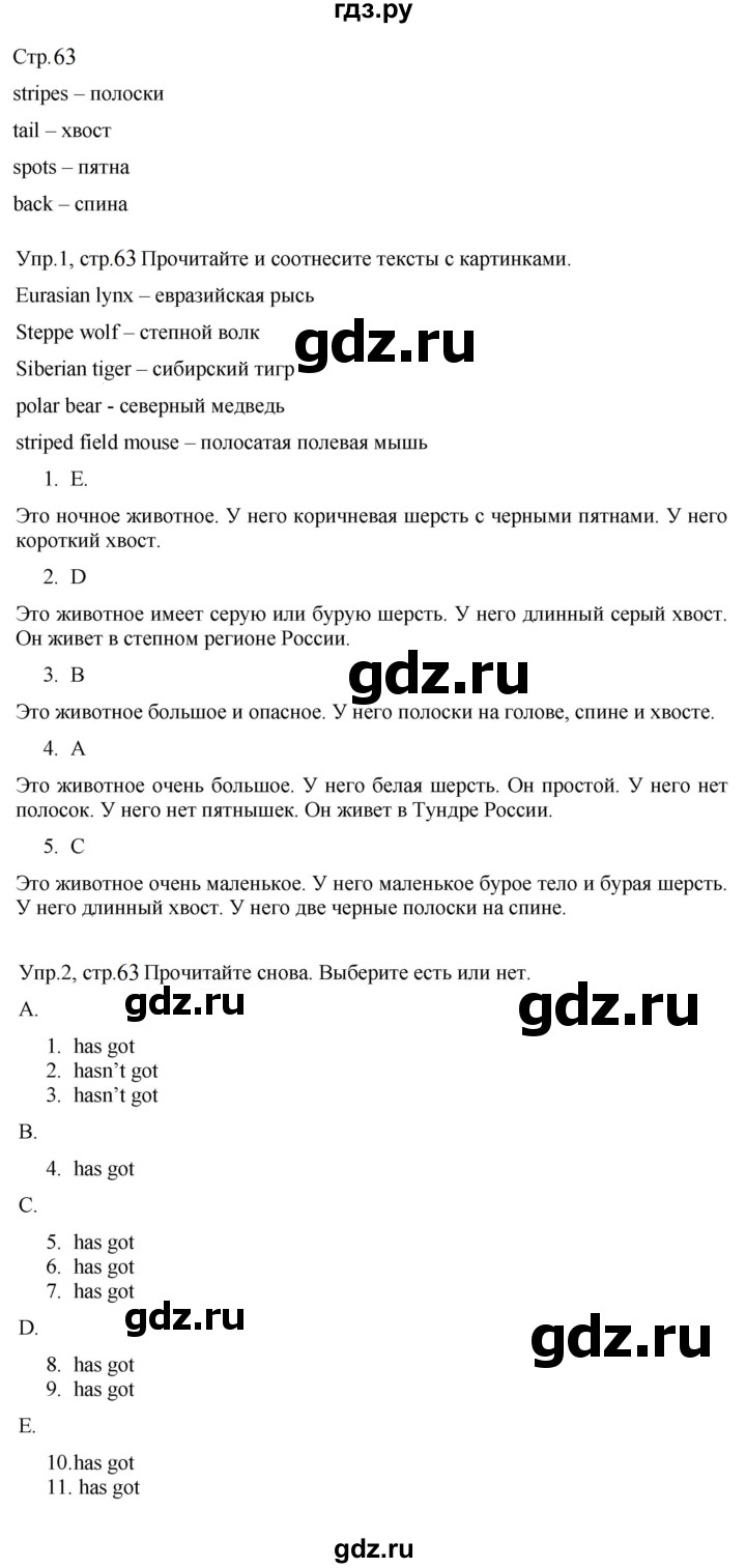 ГДЗ по английскому языку 3 класс Костюк Team Up!  часть 2. страница - 63, Решебник к учебнику 2023