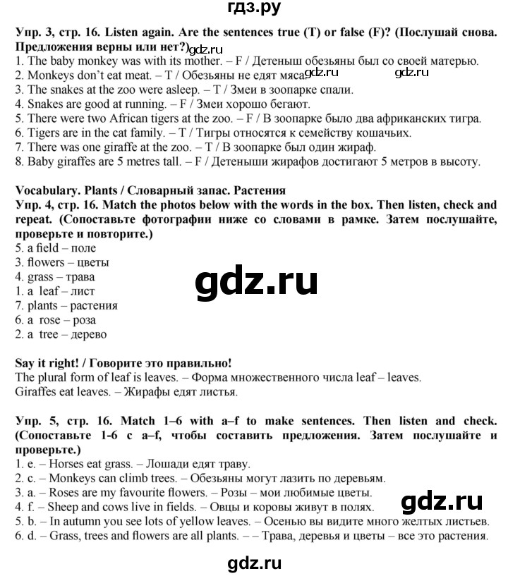 ГДЗ по английскому языку 5 класс Голдштейн   страница - 16, Решебник
