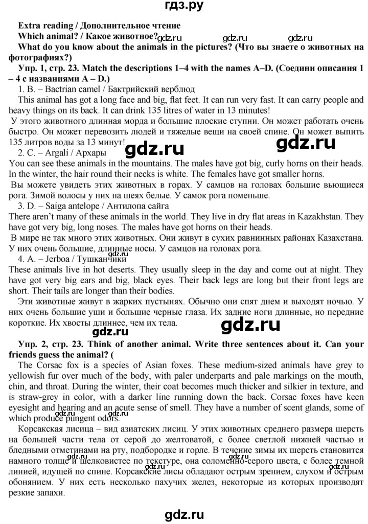 ГДЗ по английскому языку 5 класс Голдштейн   страница - 23, Решебник
